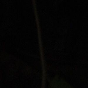 Meet your Posher, Brad